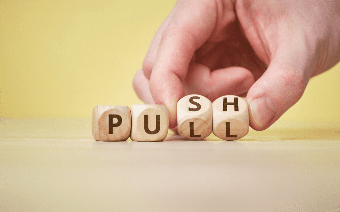 Are You A Push Or Pull Leader Nancy Burger