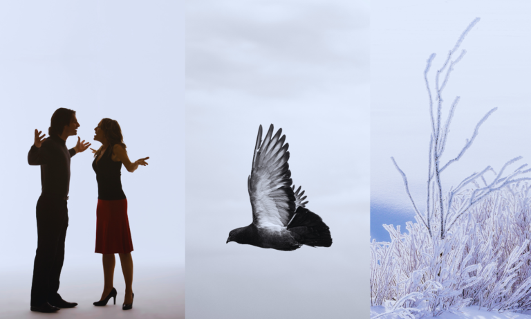 Three images showing two people fighting, a hawk flying and a tree freezing